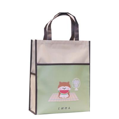 云语文创厂家直销学生A4款补习袋中小学生补课袋书袋YY-M120细节图