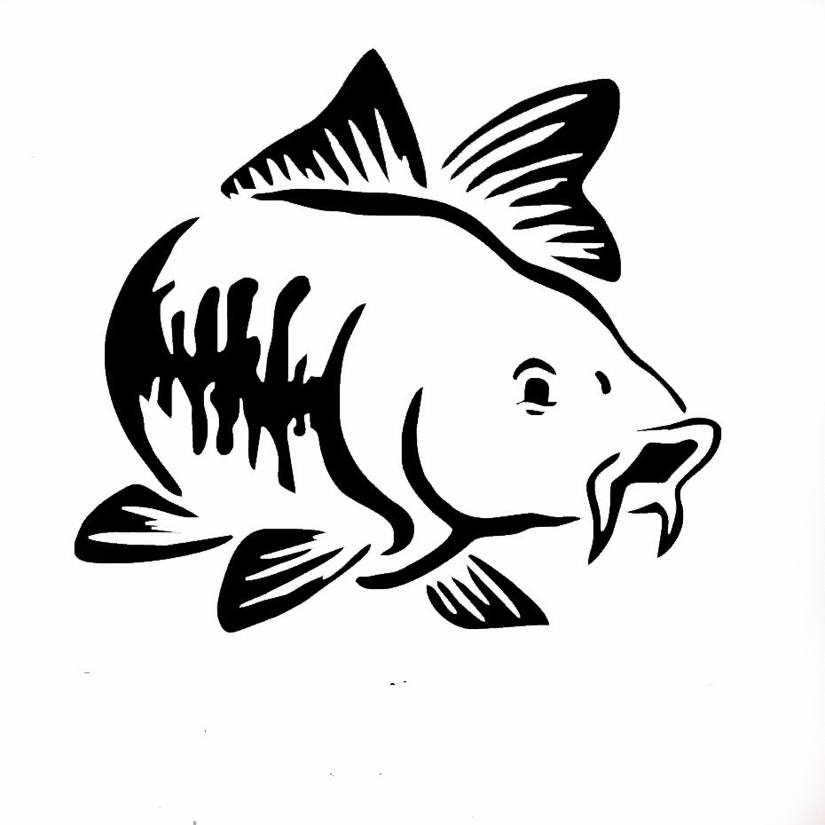 外贸鲤鱼车贴Carp Fish钓鱼车贴纸 Go Fishing 钓鱼垂钓贴纸