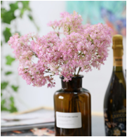 Five plastic starry sky Lafiza decorative illustration materials artificial flower JWG1901 Starry Sky