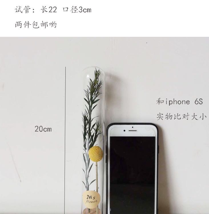 跨境干花花束 ins简约小清新家居装饰永生花许愿瓶生日伴手礼细节图