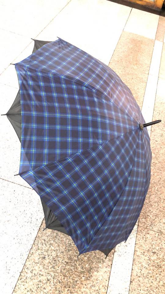 Double-layered grid automatic umbrella Specification image