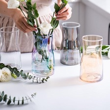 园艺简约风现代玻璃花瓶2016011