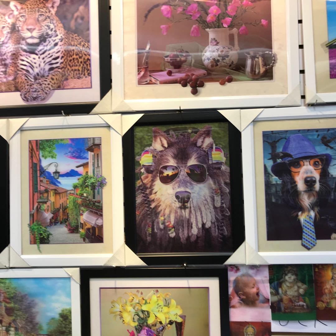 Yiwu Chaoda high-definition stereoscopic paintings describe pic - 1