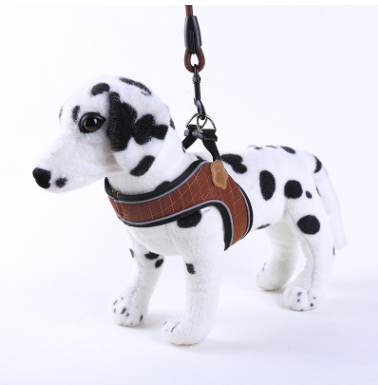 Dog leash for small and medium-sized dogs