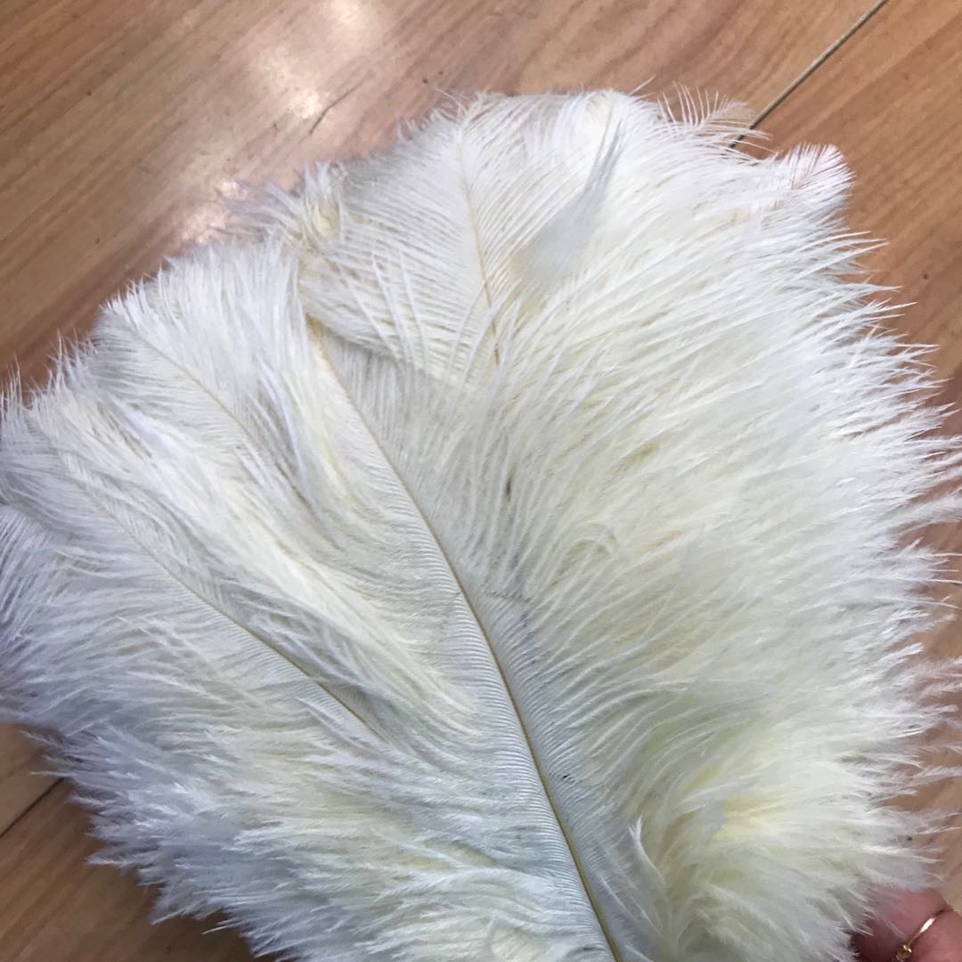 鸵鸟毛摆件网店拍照道具背景天然羽毛唯美美甲拍摄道具孔雀毛摄影20-25产品图