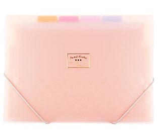 Document storage box, insert page, information book, multi-functional book clip, file bag, thickened ticket bag details Picture
