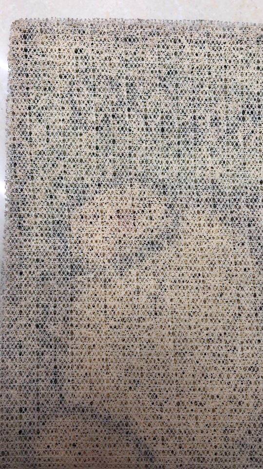Carpet Doormat Door Mat Dog Shape For Easy Cleaning Doormat details Picture