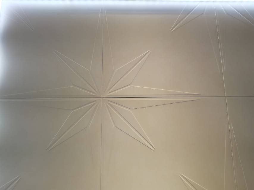 天花板灯饰/节能灯/集成吊顶细节图