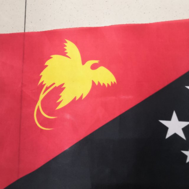 巴布亚新几内亚小国旗手摇旗各国国旗世界杯国旗库存现货产品图