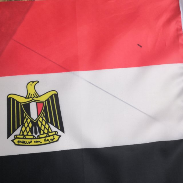 埃及手摇旗手摇埃及旗各国小旗 手挥旗外国旗细节图