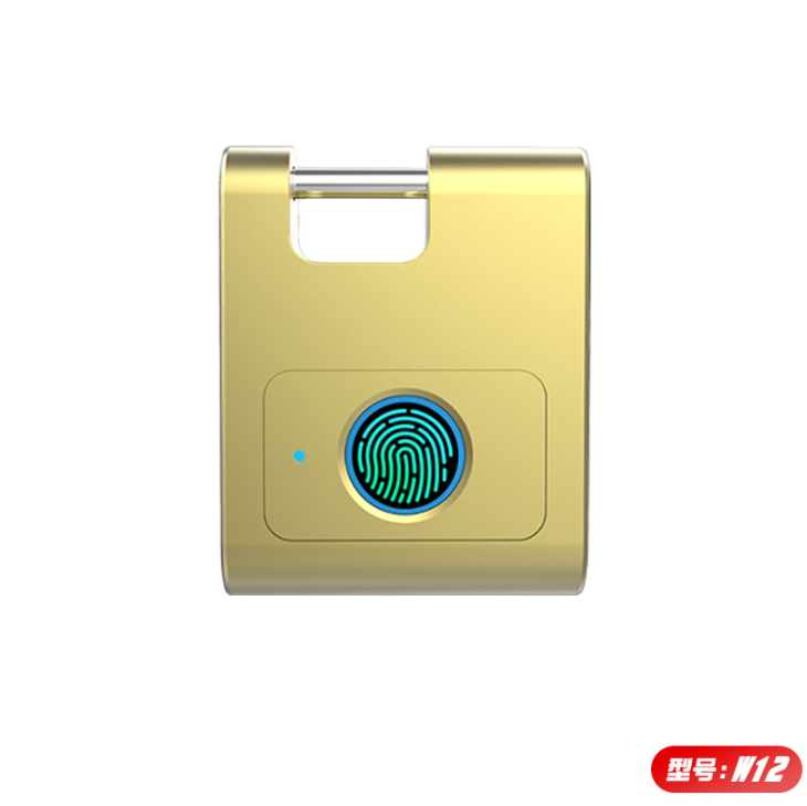 Yiwu good cargo W12 inteligente huella digital candado huella digital cerradura electrónica