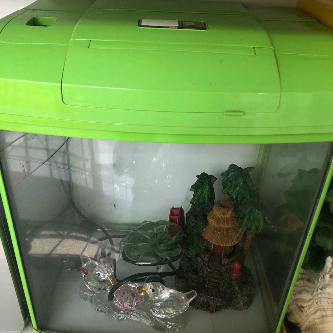 大号长形鱼缸大鱼缸适合各种鱼透明鱼缸细节图