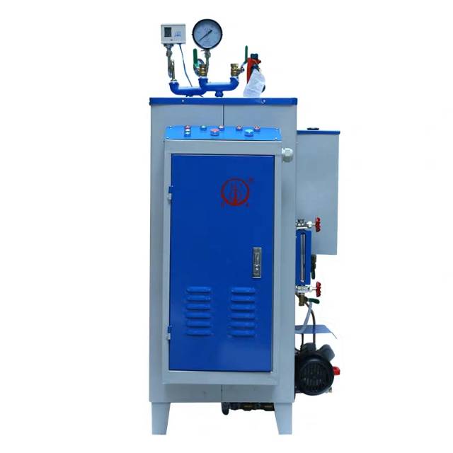 东阳佳先牌锅炉蒸汽发生器24kw型江心锅炉图