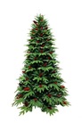 圣诞节1.5/1.8/2.1米大型圣诞树 家用圣诞装饰品加密许愿树