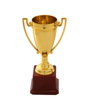 5008 Brilliant trophy plastic cup customized trophy can be customized logo
