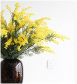 "Zhi MAO Wang Cherry Blossom High-end Home Decoration Alacia Flower Branch Zhi MAO Cherry Blossom Artificial Flower 191A. details Picture
