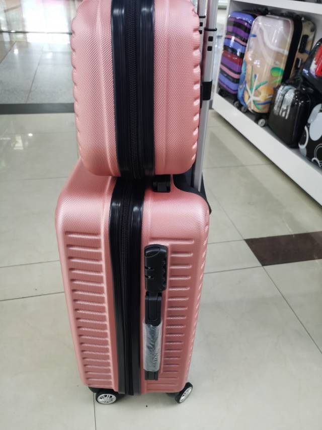 Pink matte two-piece suitcase with a handle details Picture