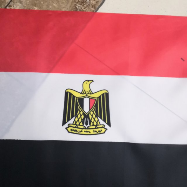 埃及手摇旗手摇埃及旗各国小旗 手挥旗外国旗产品图