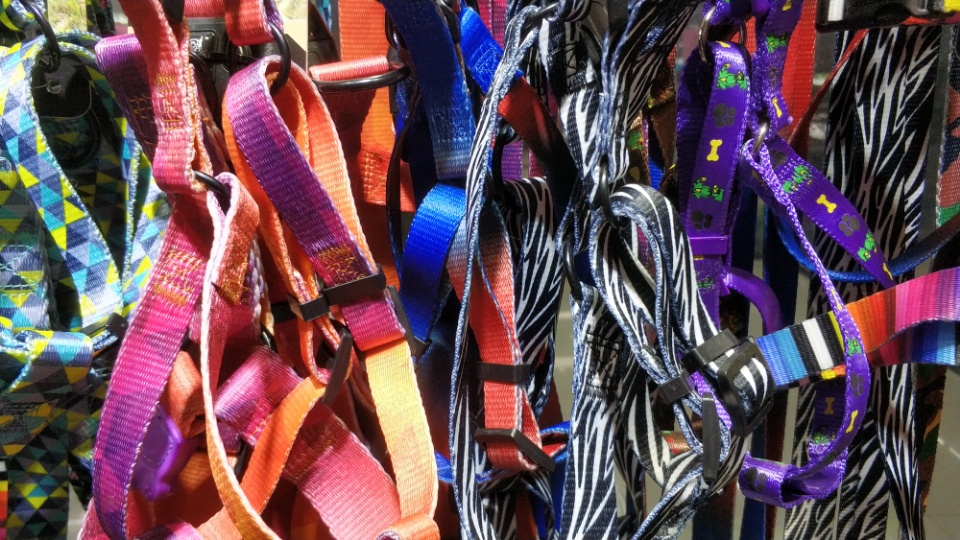 Simple and portable pet leash Specification image