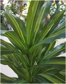 Self-Produced And Self-Marketing Simulation Plant Simulation Leaves Simulation Bamboo Bonsai True Bamboo Pole Bamboo Tip Wholesale details Picture