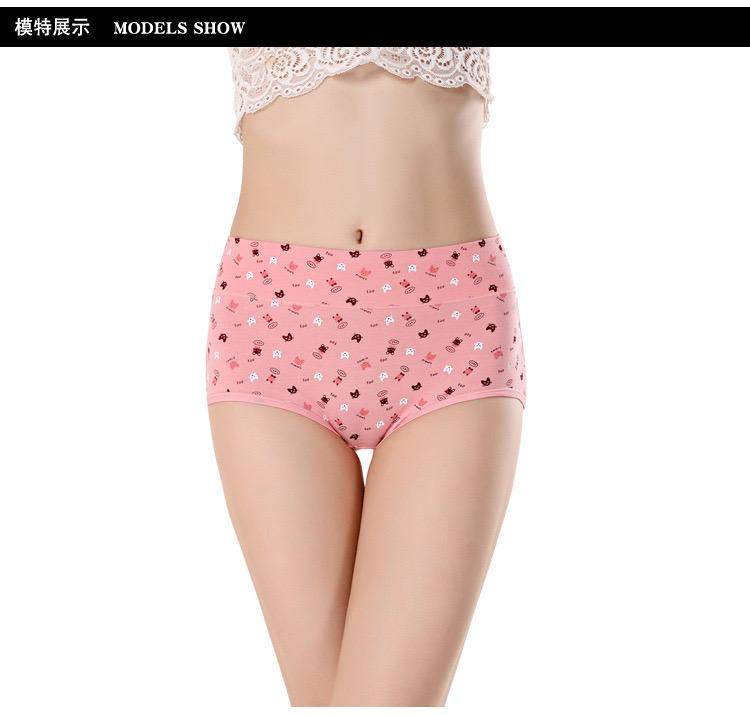 95 Cotton Underwear Women's Mid-Waist Cotton Crotch Cute Printed Girl Underwear Cotton Women's Briefs details Picture