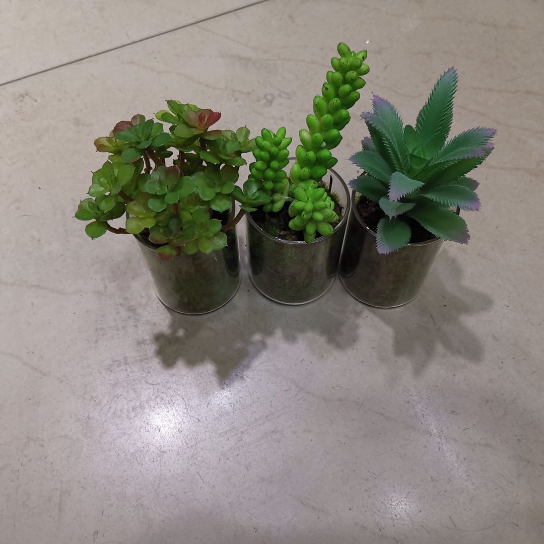 仿真植物塑料材质玻璃瓶多肉盆栽144pcs装