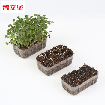 种植立体拼图 儿童手工diy亲子玩具 种植物3d立体拼图厂家批发细节图