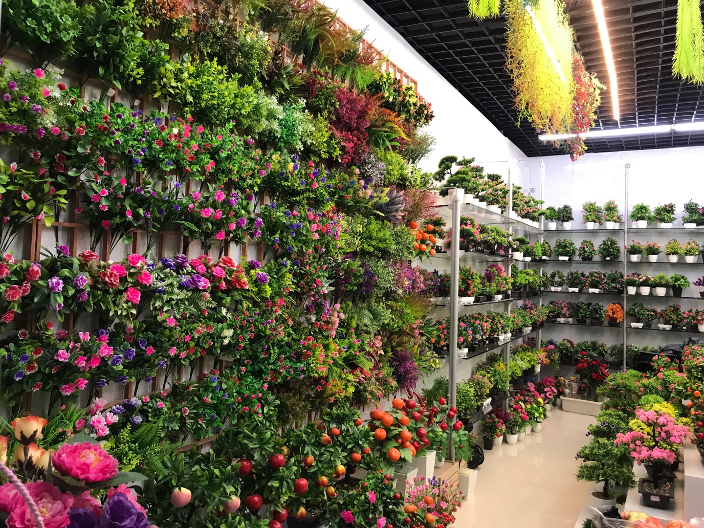 Guangdong Chaolong Flower and Leaf Bonsai Trading House describe pic - 1