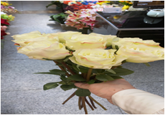 New rose notebook from the manufacturer