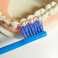日本进口炫彩牙刷成人双层细软刷毛小头牙刷清洁牙缝刷护龈护齿细节图