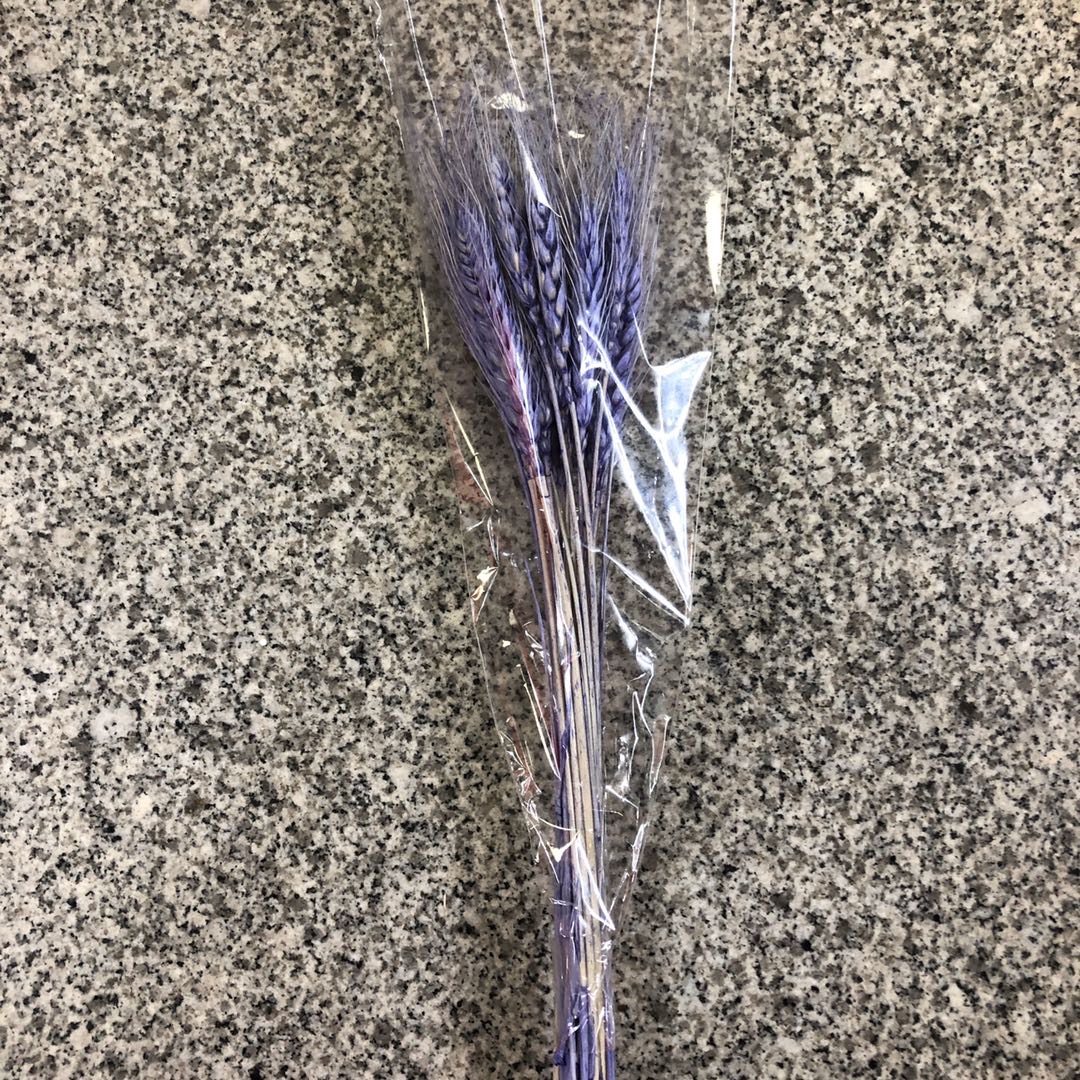 麦穗干花田园植物天然紫色小麦穗真麦子婚庆装饰拍摄道具