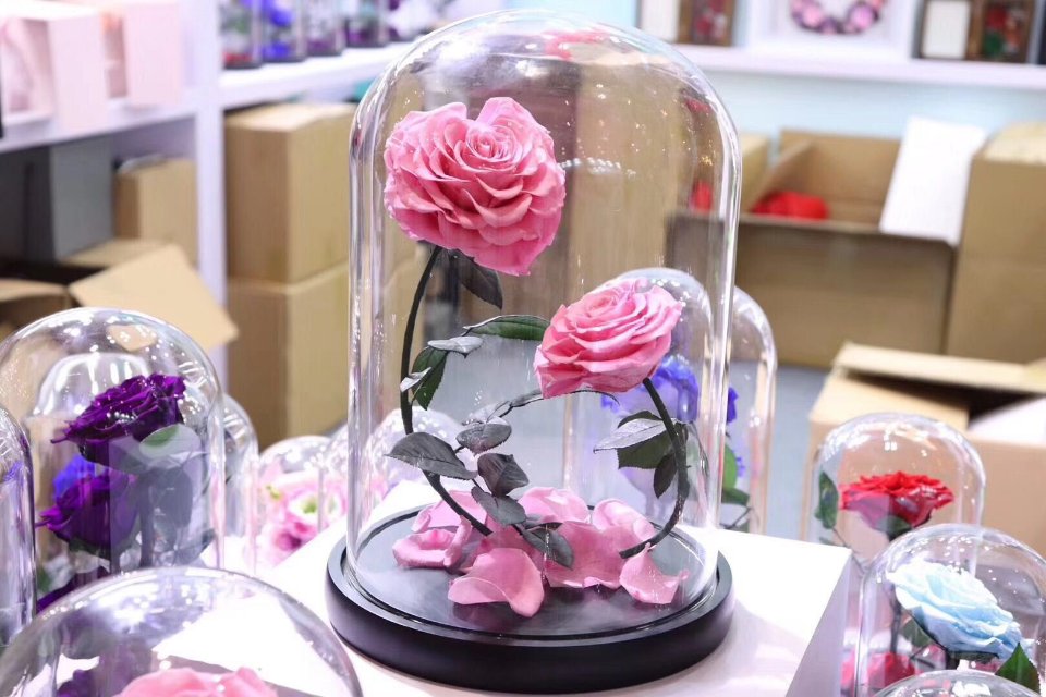 单纯仿真玫瑰花系列无灯款玻璃罩产品图