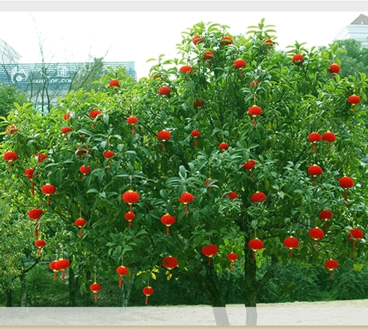灯笼/元宵节的灯笼/水晶小灯笼/元宵灯笼/醒狮灯笼产品图