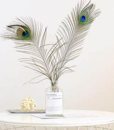 Peacock feathers wedding flower arrangement home decoration accessories