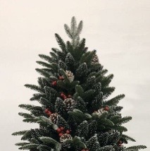 2020 New Christmas tree PVC PET PE Christmas tree manufacturers direct sale Specification drawing