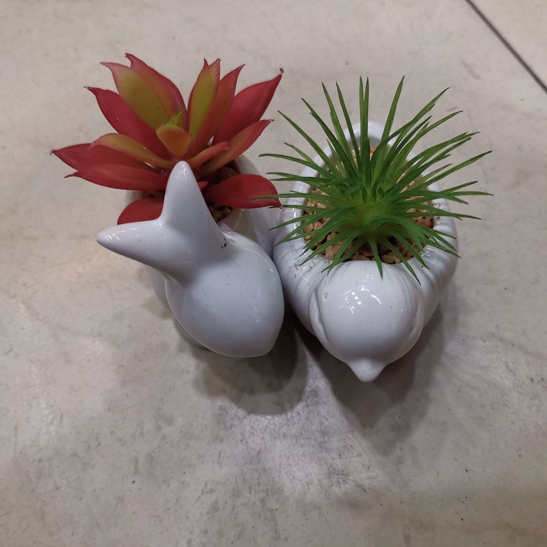 真盆栽动物白陶瓷多肉植物婚庆摄影道具144pc产品图