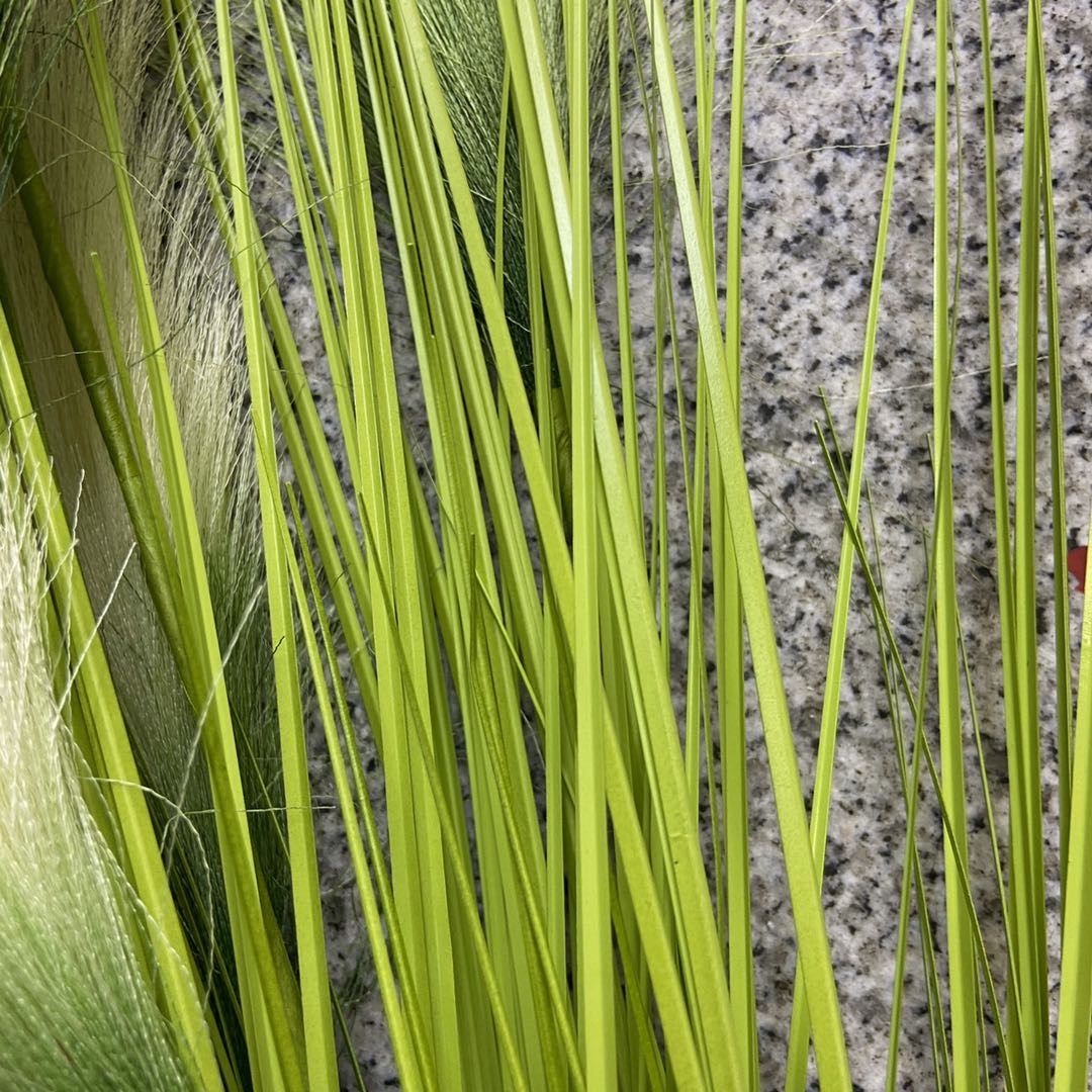 仿真芦苇盆栽客厅简约狗尾巴草花絮落地绿植圣诞拍照装饰细节图