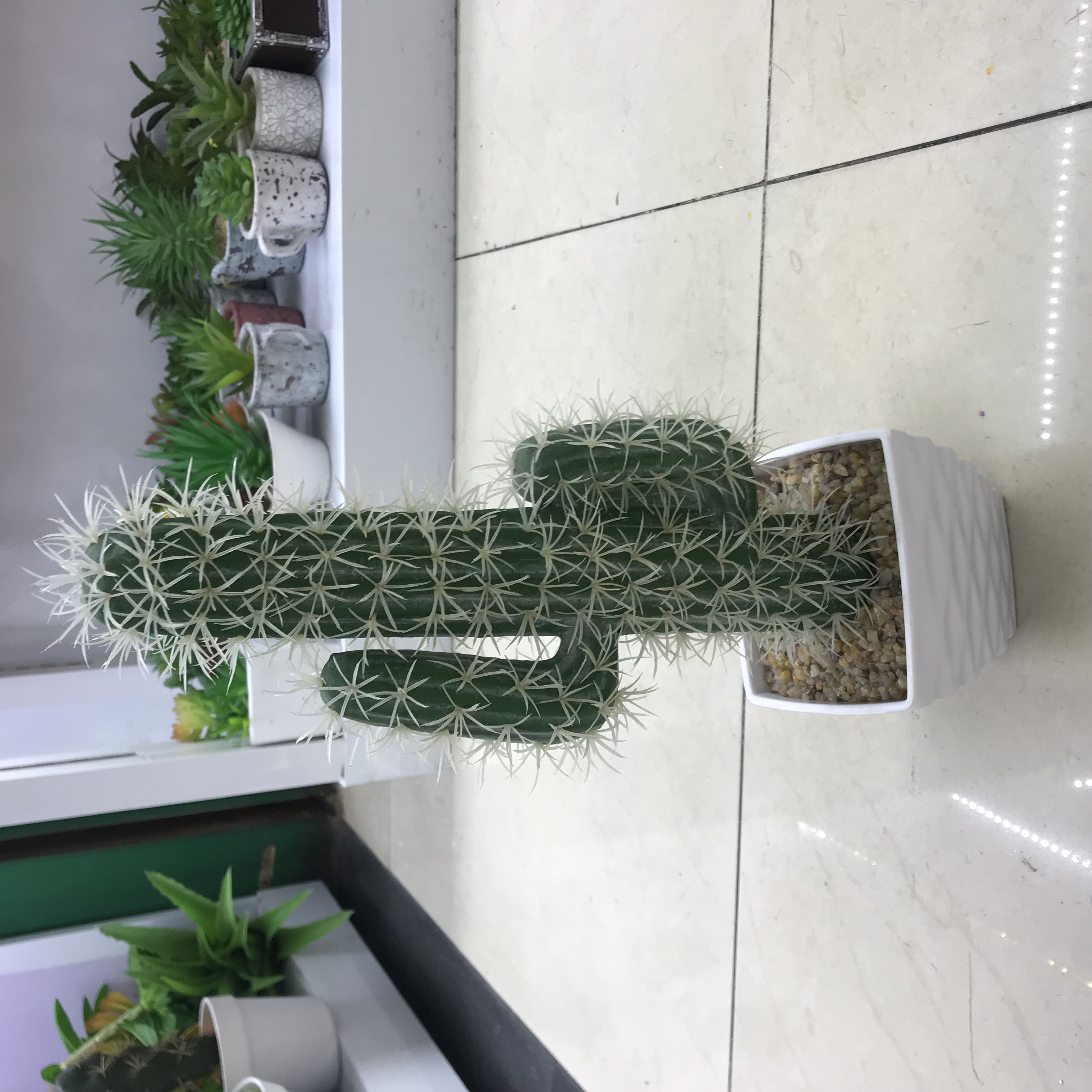 Nordic creative simulation cactus potted living room indoor office floor fairy column plant bonsai decorations thumbnail