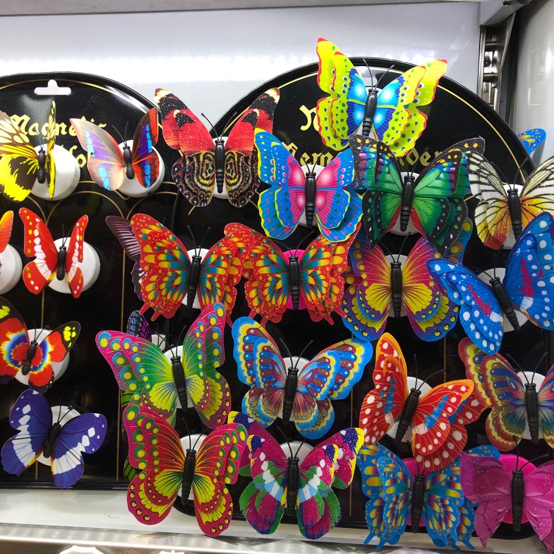 Zhenghao Craft describe pic - 2