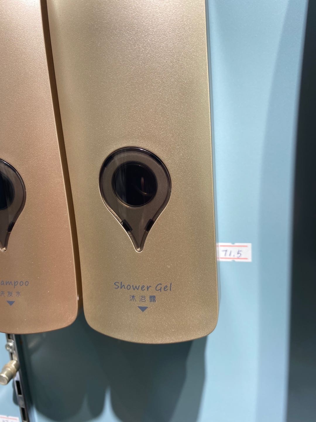 A push-button soap dispenser specially designed for five-star hotels details Picture