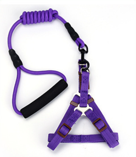 Colorful round-headed dog leash Specification image