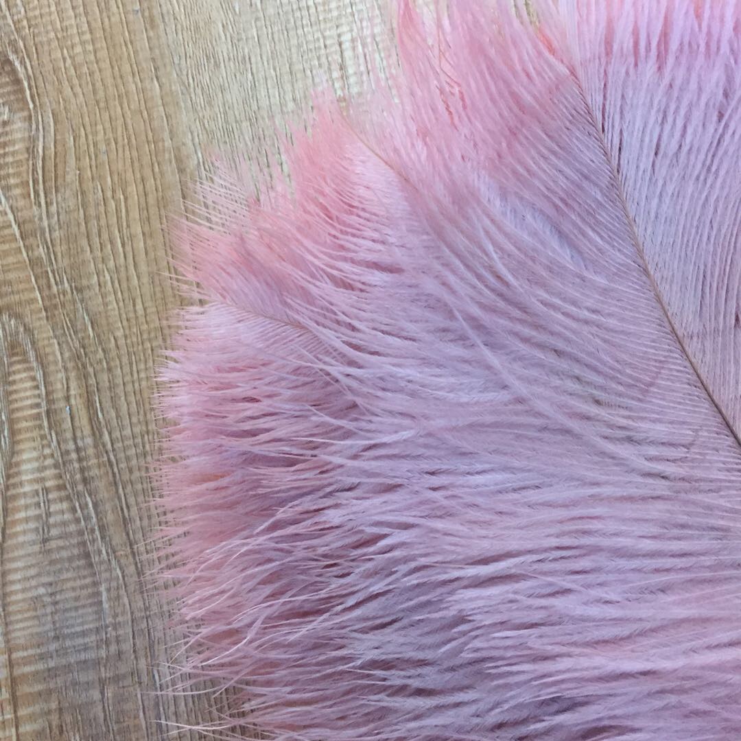 Solid Color Feather Ins Korean Style Jewelry Posing Girls Table Decoration Elegant Soft Outfit Chic Collocation details Picture