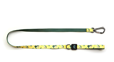 Pet Dog And Cat Leash Webbing Print Leash Dog Leash details Picture