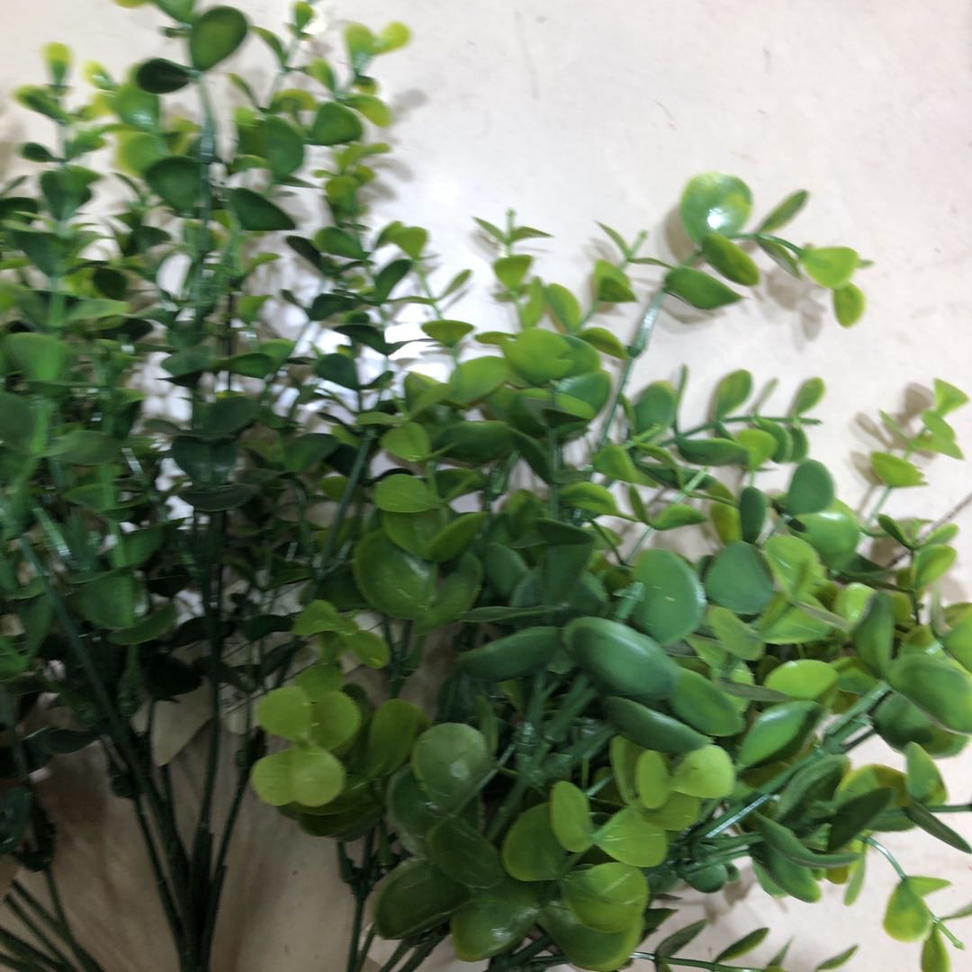 Simulation Eucalyptus Water Grass Garden Small Fresh Decoration Home Photography Accessories Manufacturers Direct Sales details Picture