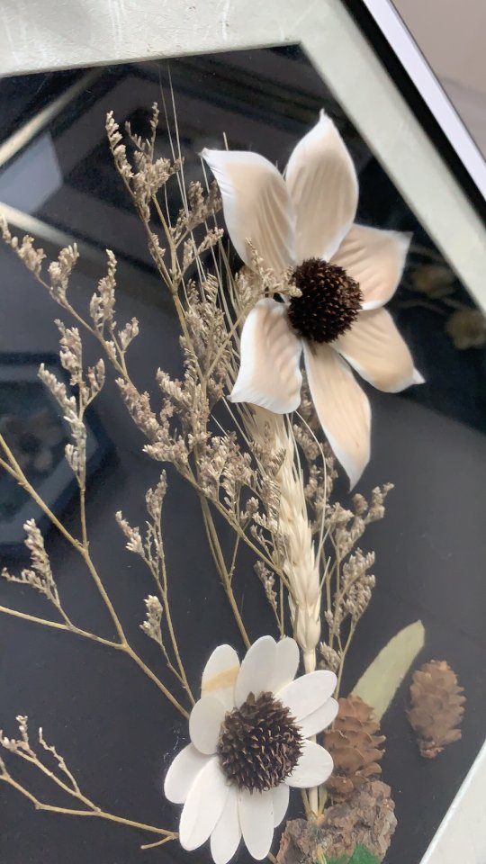 Stereoscopic Close-up