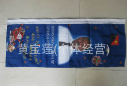 国旗/万国旗/手摇旗/旗帜/法国国旗细节图