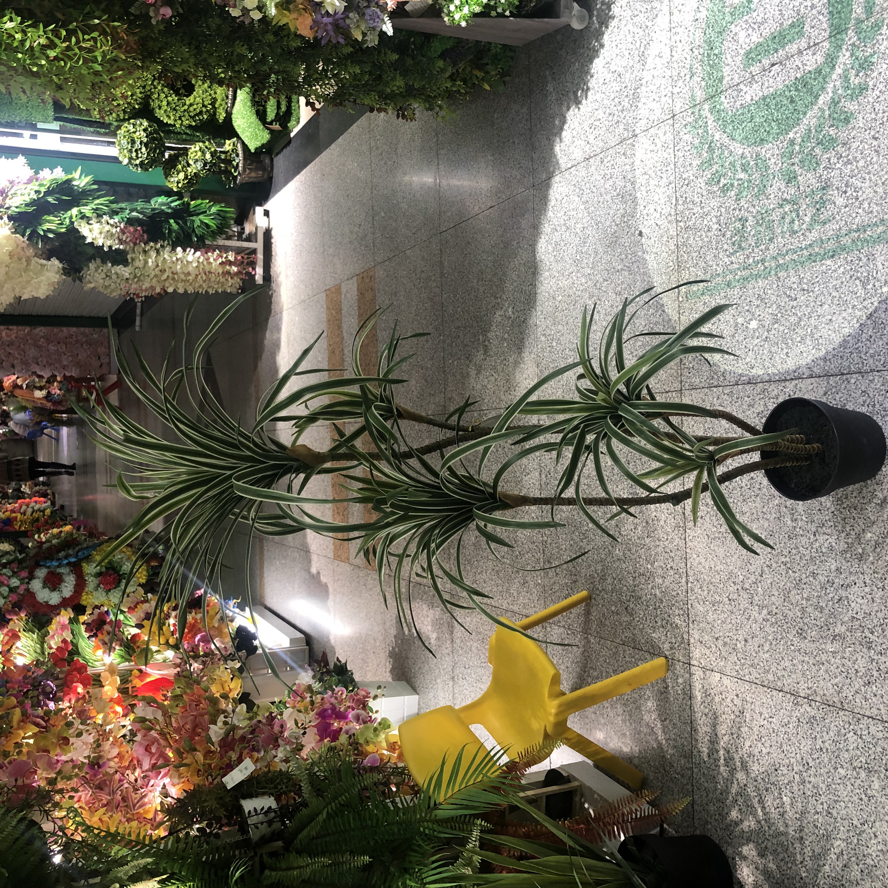 仿真白边铁树商场酒店室内大型落地绿植假盆栽装饰摆件