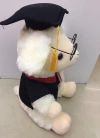 Hot-selling plush graduation sheep dolls, cartoon figurines and cloth dolls details Picture