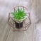 北欧创意铁艺盆栽仿真植物假绿植小摆件客厅卧室房间办公桌面迷你装饰图
