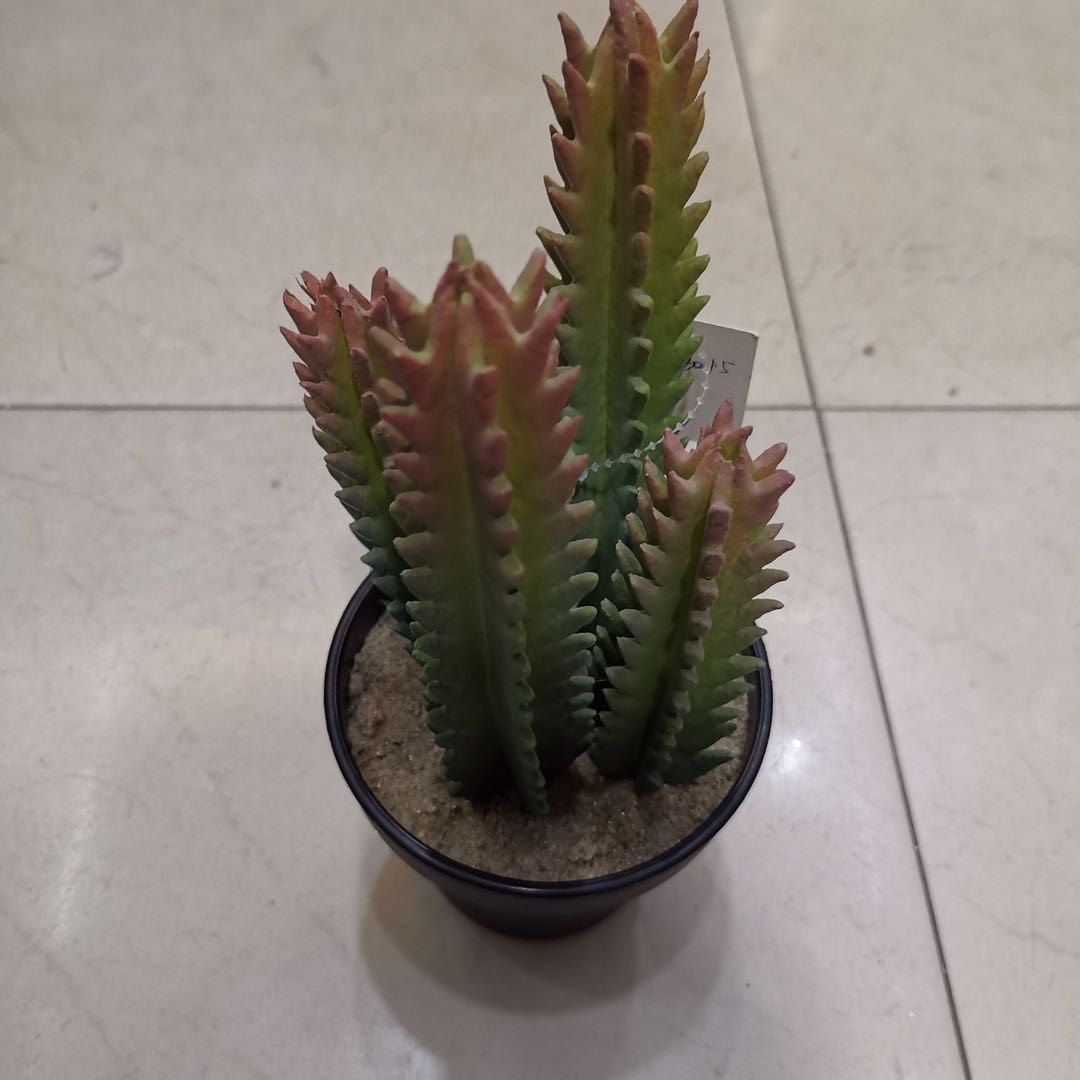 塑料花仿真植物仿真盆栽花盆家居摆件48pc产品图